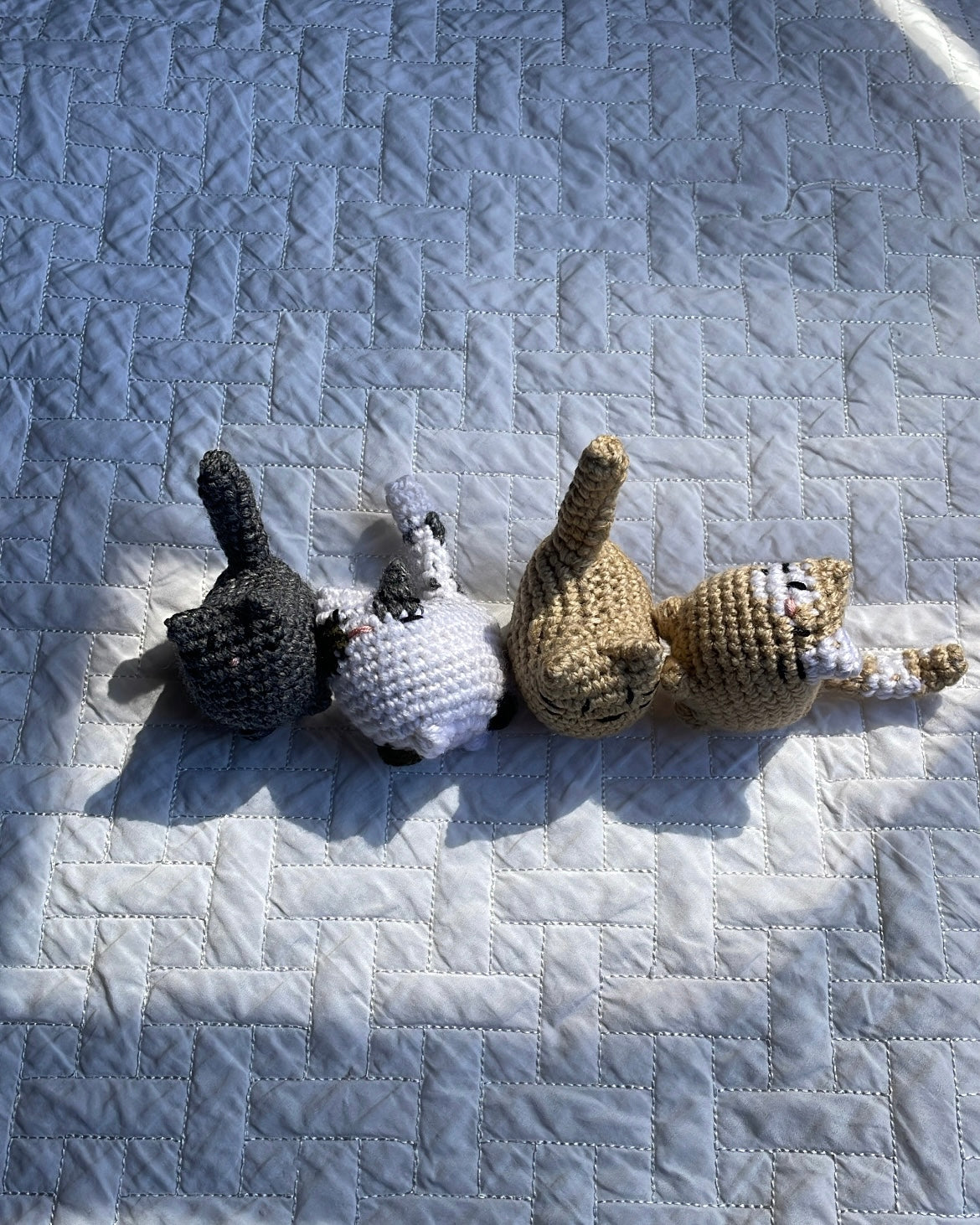 CHARMS